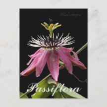 Postal de Passiflora