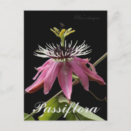 Postal de Passiflora