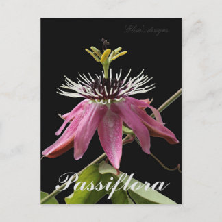 Postal de Passiflora
