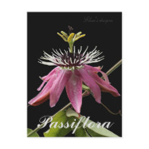 Postal de Passiflora