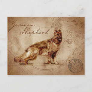 postal de pastor alemán vintage