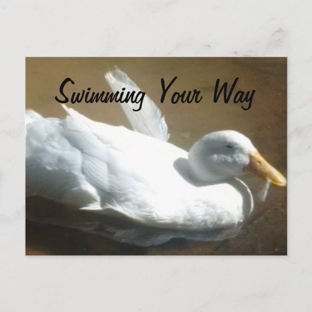 Postal de pato (Anverso)