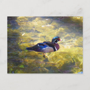 Postal de pato de madera