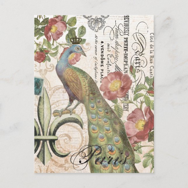 Postal de pavo real vintage (Anverso)