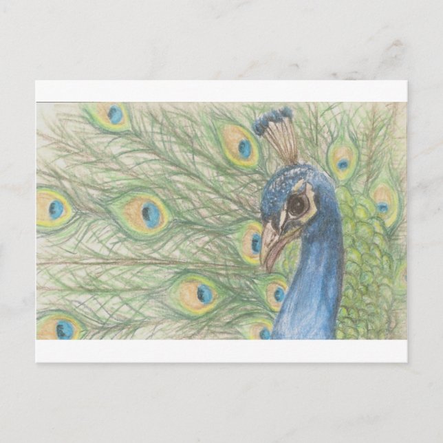 Postal de Peacock (Anverso)
