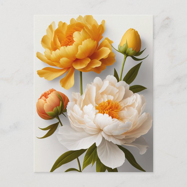 Postal de Peony Flowers (Anverso)