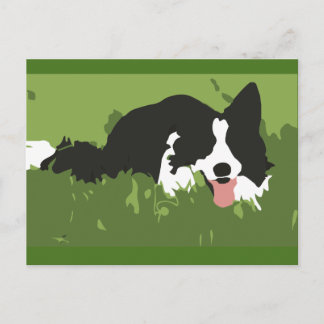Postal de Perro Collie