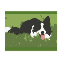 Postal de Perro Collie