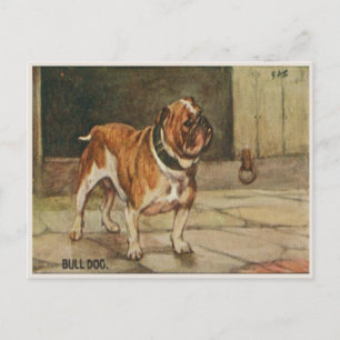 Postal de perro con Bulldog duro