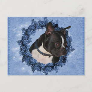Postal de perro de Boston Terrier