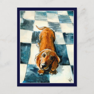 Postal de perro de Dachshund