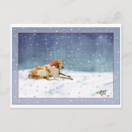 Postal de perro de nieve