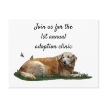 Postal de perro de raza mixta de labrador amarillo