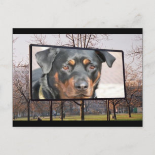 Postal de perro de Rottweiler
