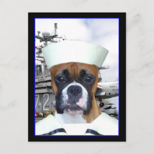 Postal de perro de Sailor Boxer de la Marina