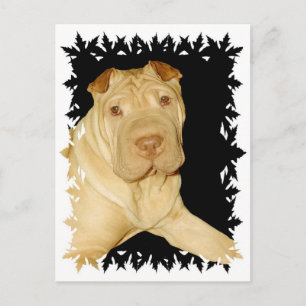 Postal de perro de Shar Pei