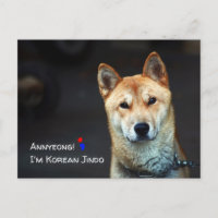 Postal de perro jindo coreano