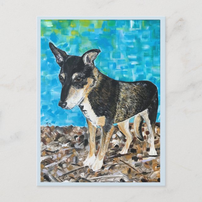 Postal de perro Kelpie (Anverso)