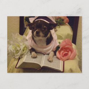 Postal de perro leyendo la Biblia diaria