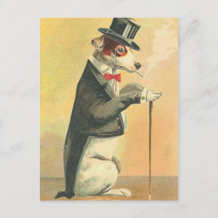 Postal de perro vintage