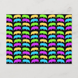 Postal de perros multicolor