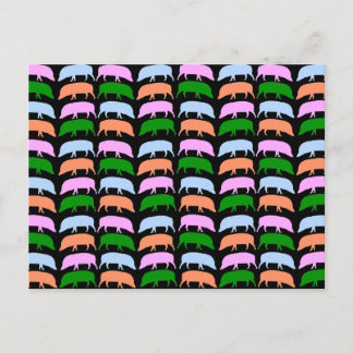 Postal de perros multicolor