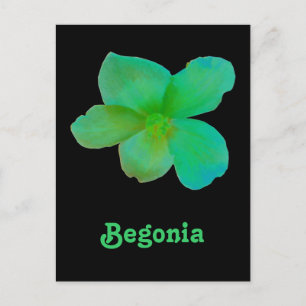 Postal de Personalizable de Begonia Verde