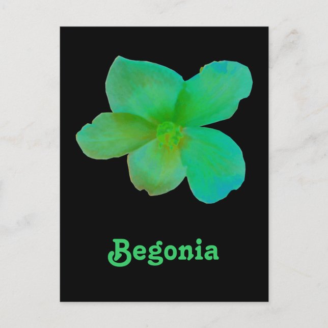 Postal de Personalizable de Begonia Verde (Anverso)