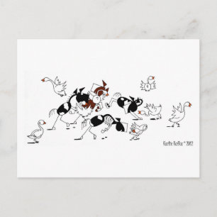 Postal de Personalizado de Caballo de oca salvaje