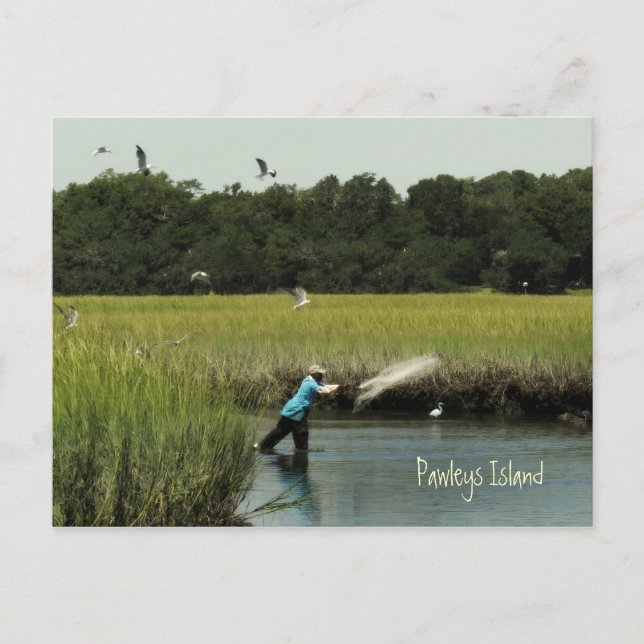 Postal de pesca de Pawleys Island (Anverso)