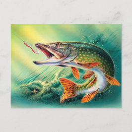 Postal de pescado bonito de pesca de cosecha de vi