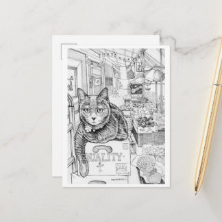 Postal de Philly Cat en la calle 9