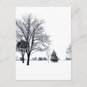 Postal De pie en la nieve