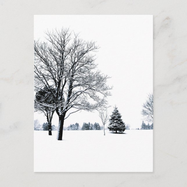 Postal De pie en la nieve (Anverso)
