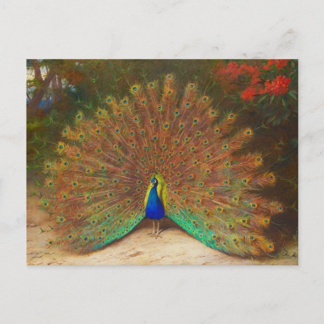 Postal de pintura de pavo real vintage (Anverso)