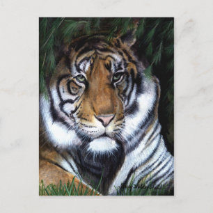 Postal de pintura de tigres