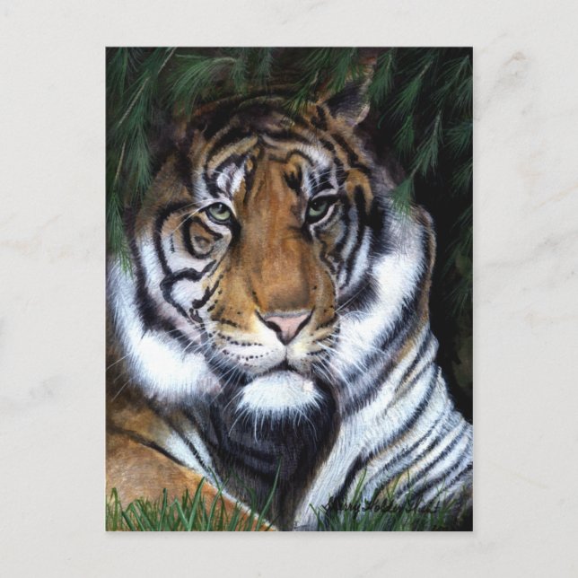 Postal de pintura de tigres (Anverso)