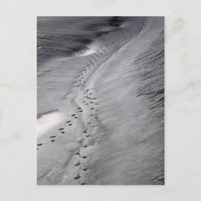 postal de pistas (Anverso)