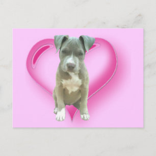 Postal de Pitbull