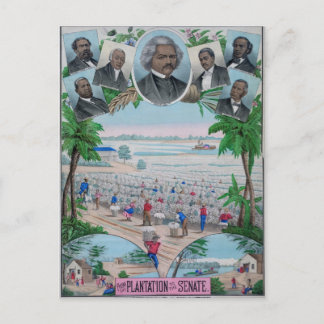 Postal De Plantación Al Senado