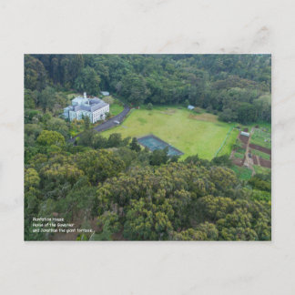 Postal de Plantación - Isla de Santa Elena