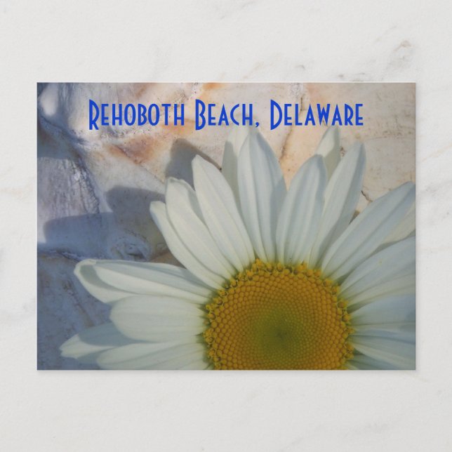Postal de playa Daisy Rehoboth (Anverso)