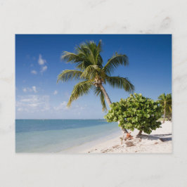 Postal de playa de Florida - Sombrero