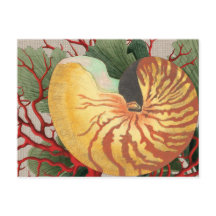 Postal de playa de Vintage y Coral Rojo