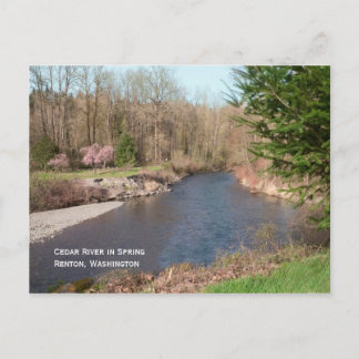 Postal de playa del río Cedar