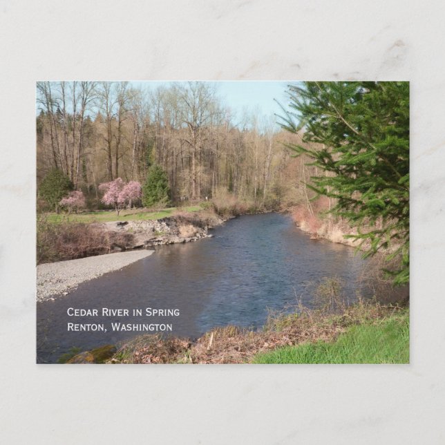 Postal de playa del río Cedar (Anverso)