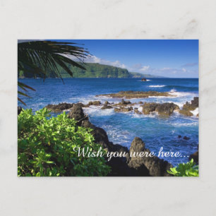 Postal de playa tropical-postal