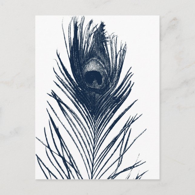 Postal de plumas de pavo real azul oscuro (Anverso)