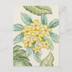 Postal de Plumeria Amarilla