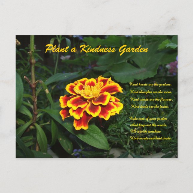Postal de poema de Kindness Garden (Anverso)